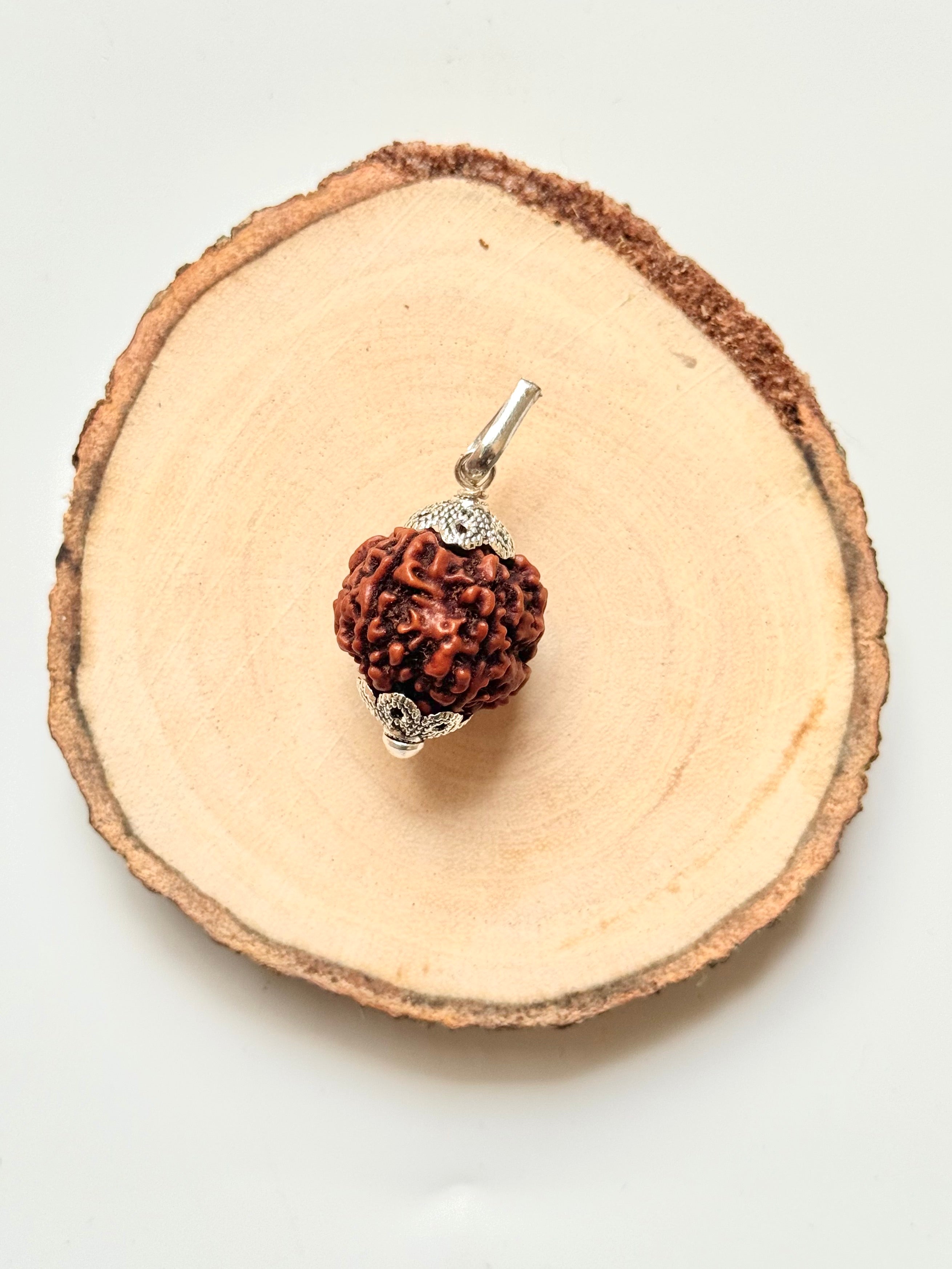 5 Mukhi Rudraksha Pendant