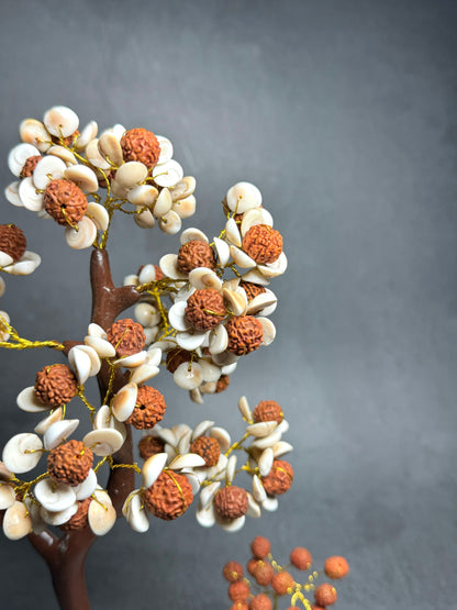 Gomti Chakra Rudraksha Tree