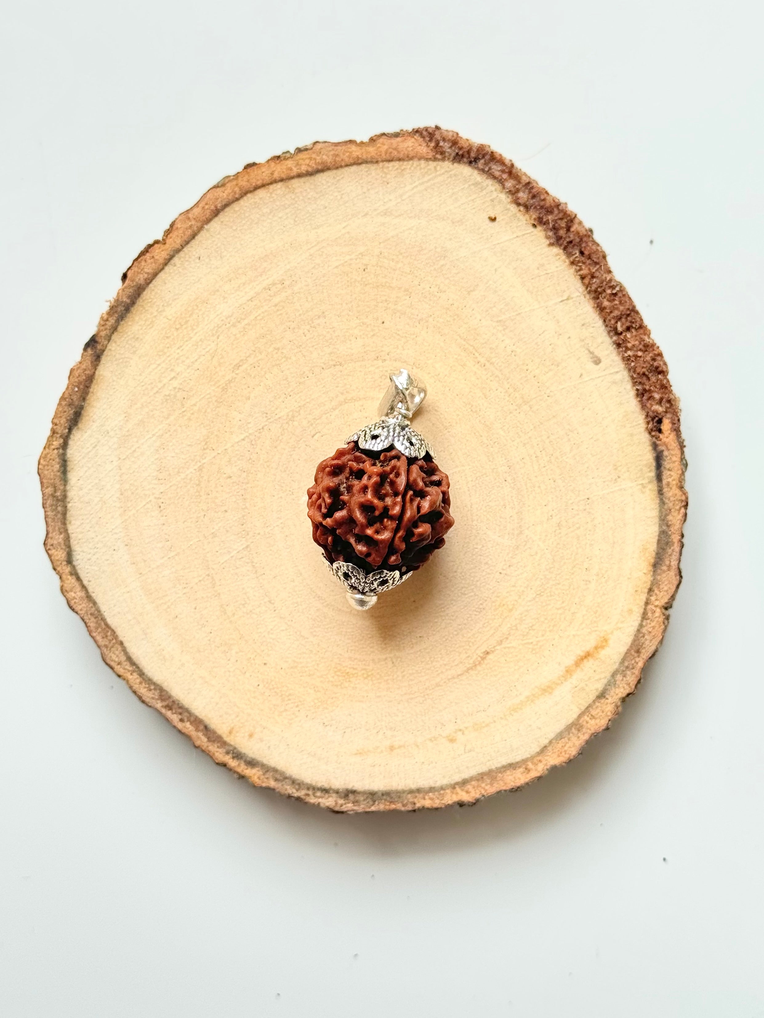 4 Mukhi Rudraksha Pendant