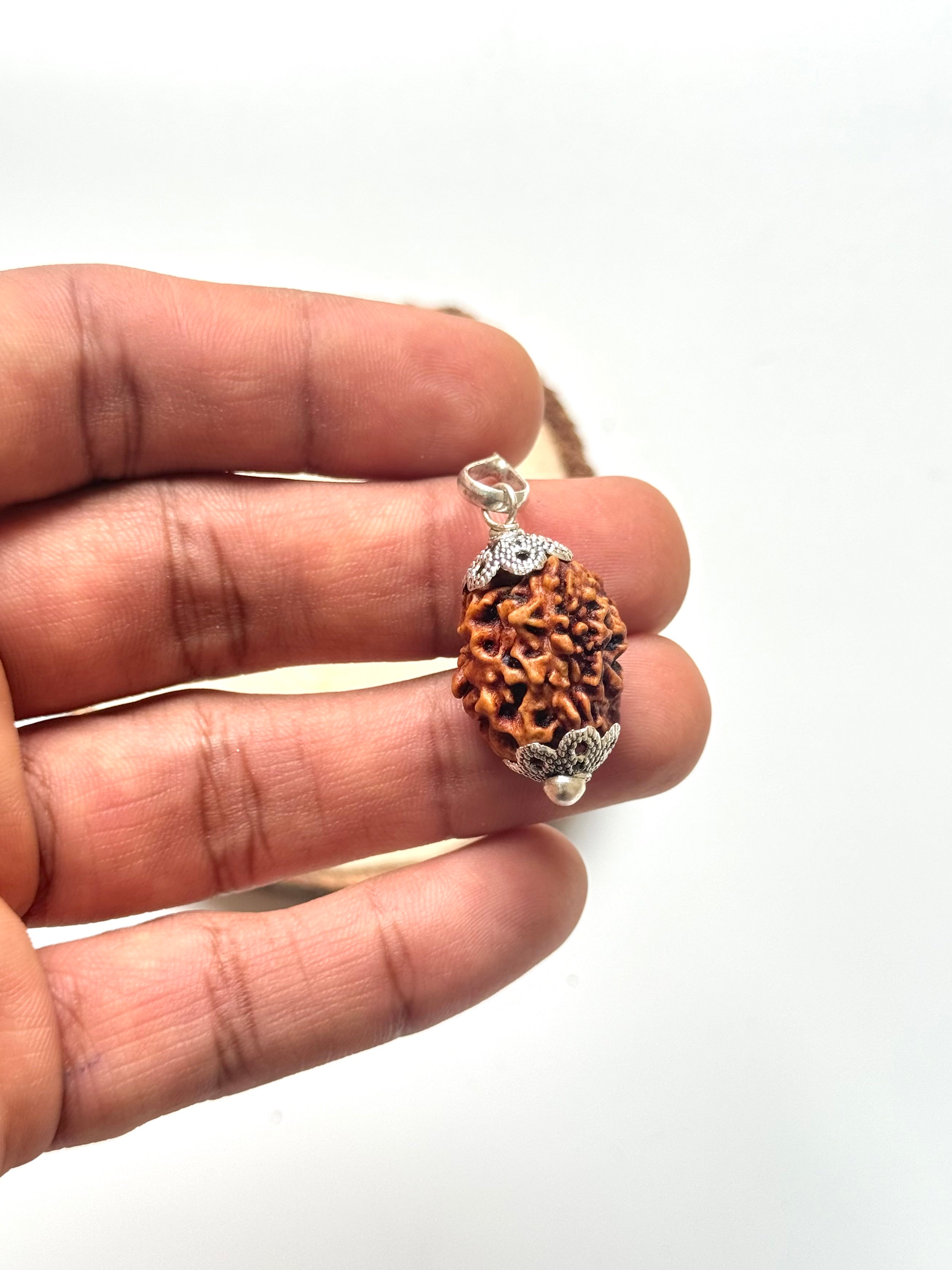 3 Mukhi Rudraksha Pendant