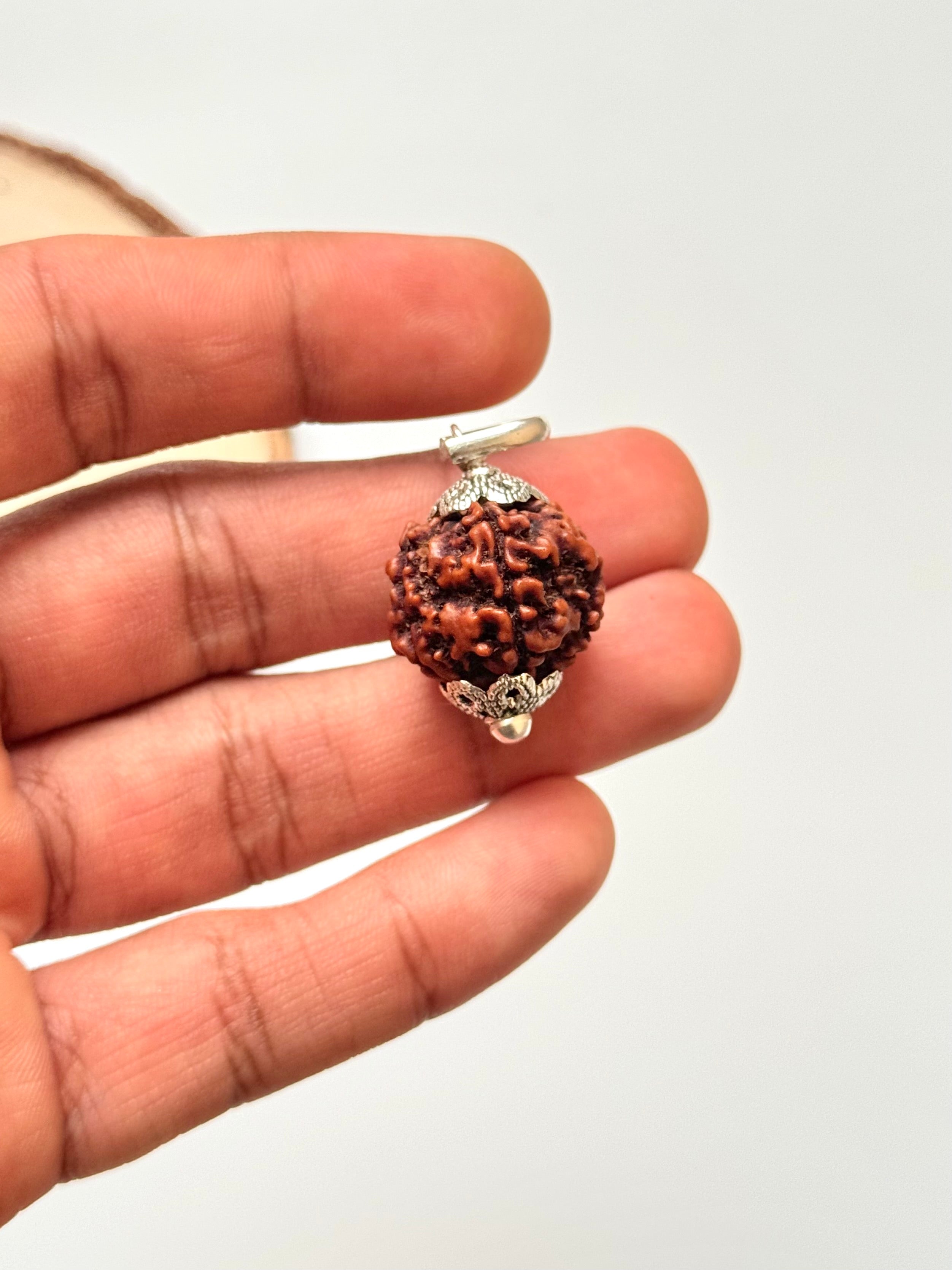 5 Mukhi Rudraksha Pendant