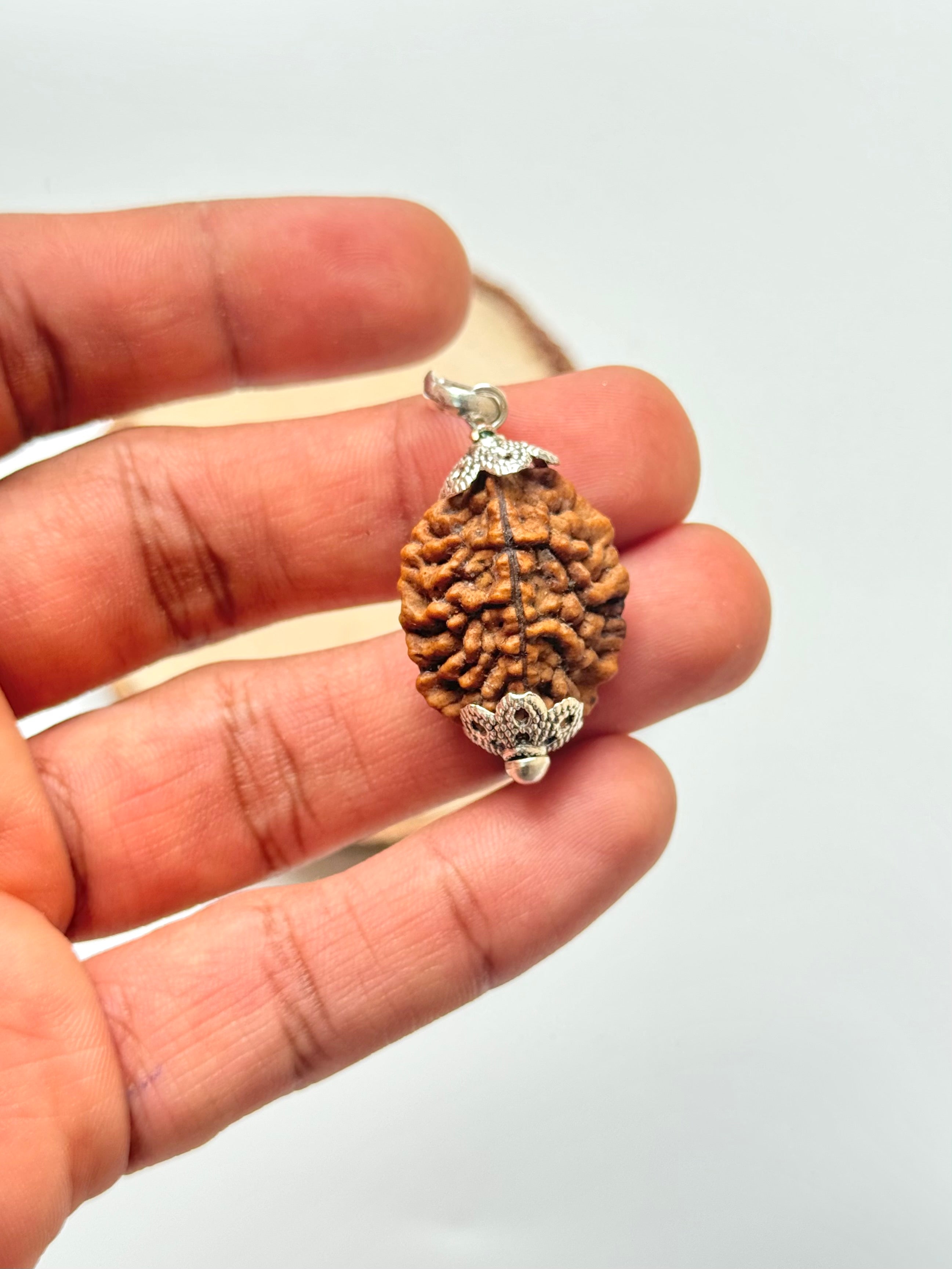 2 Mukhi Rudraksha Pendant