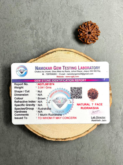 7 Mukhi Rudraksha