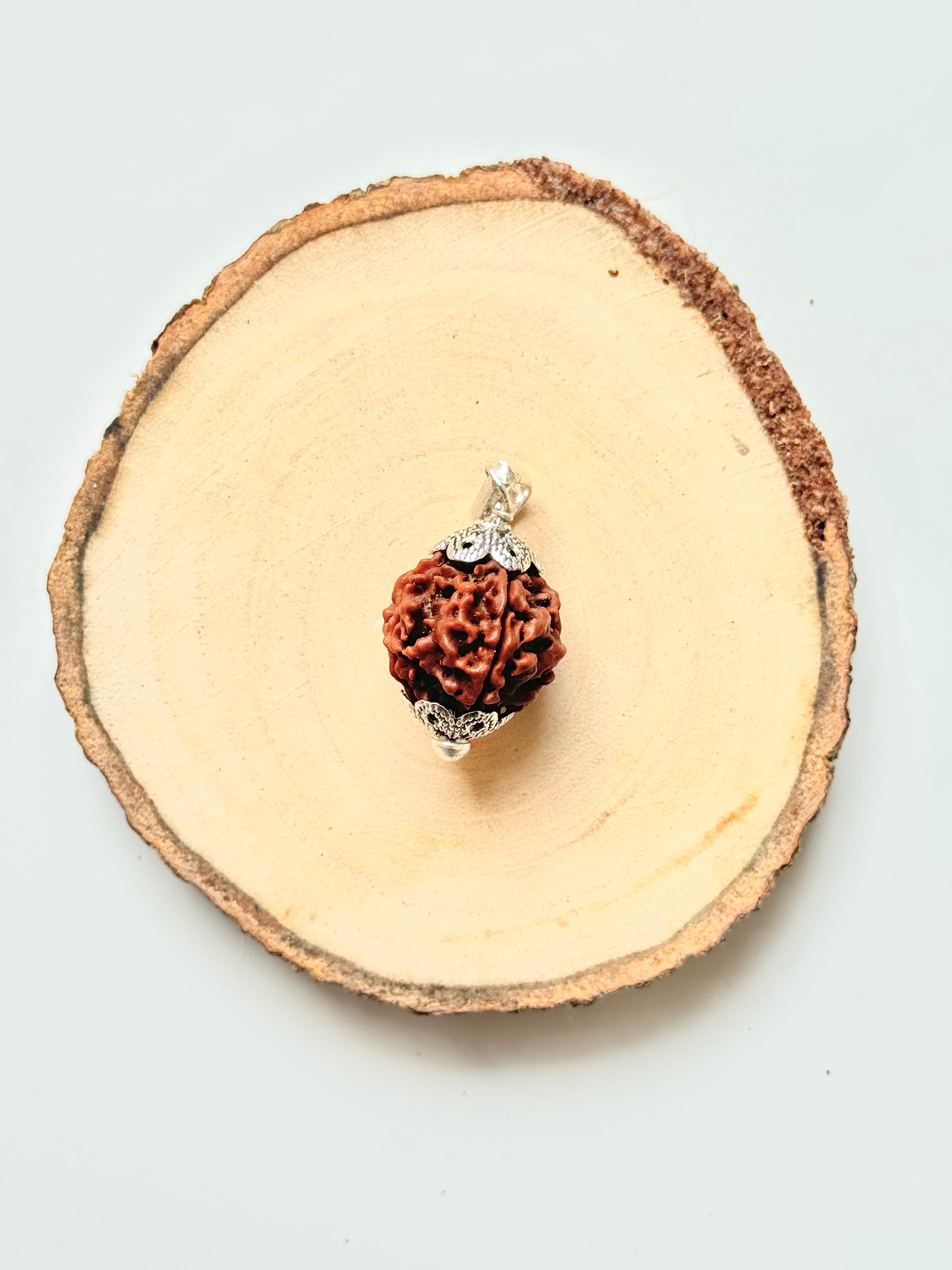 4 Mukhi Rudraksha Pendant