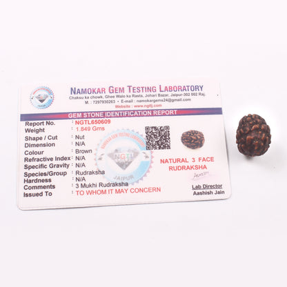 3 Mukhi Rudraksha