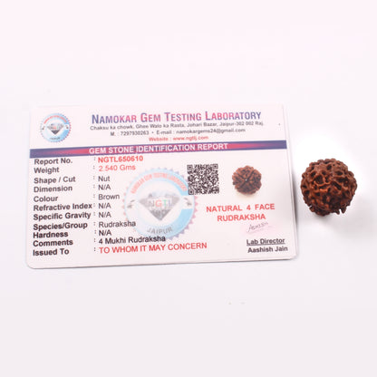 4 Mukhi Rudraksha