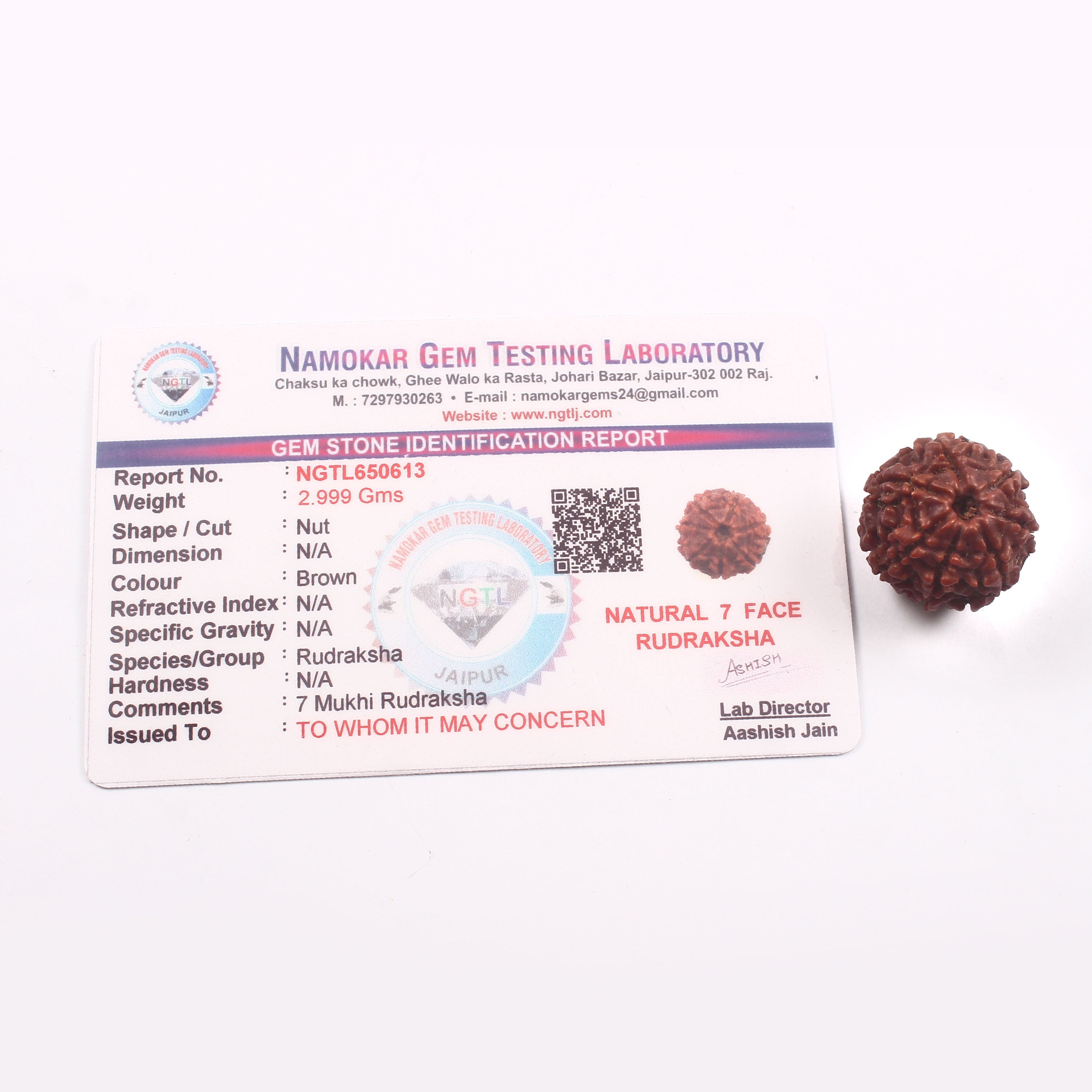 7 Mukhi Rudraksha