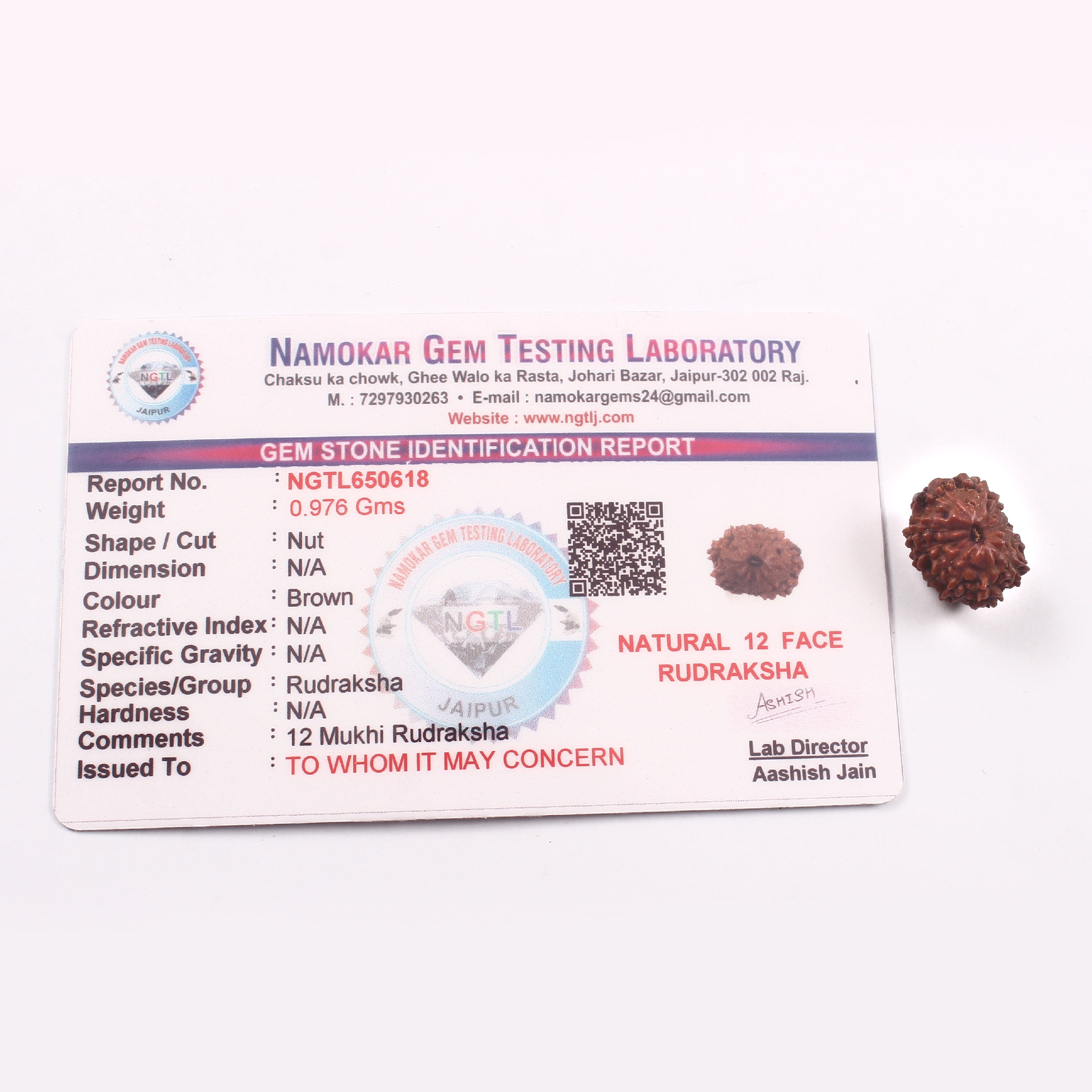 12 Mukhi Rudraksha