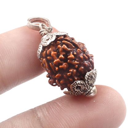 3 Mukhi Rudraksha Pendant