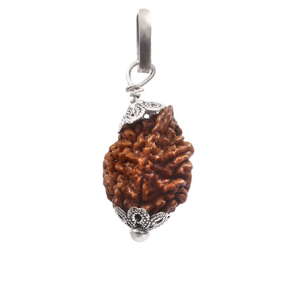 2 Mukhi Rudraksha Pendant