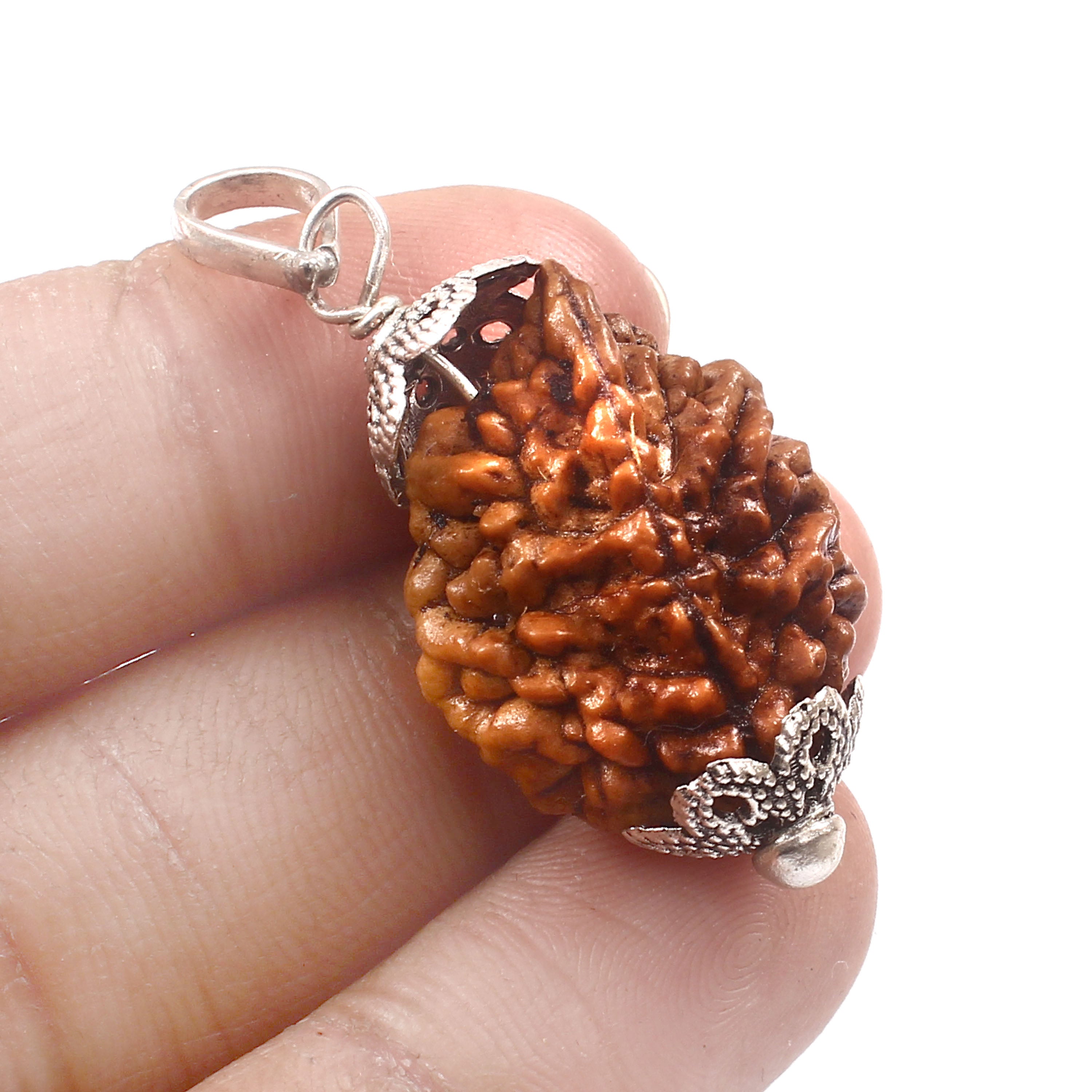 2 Mukhi Rudraksha Pendant