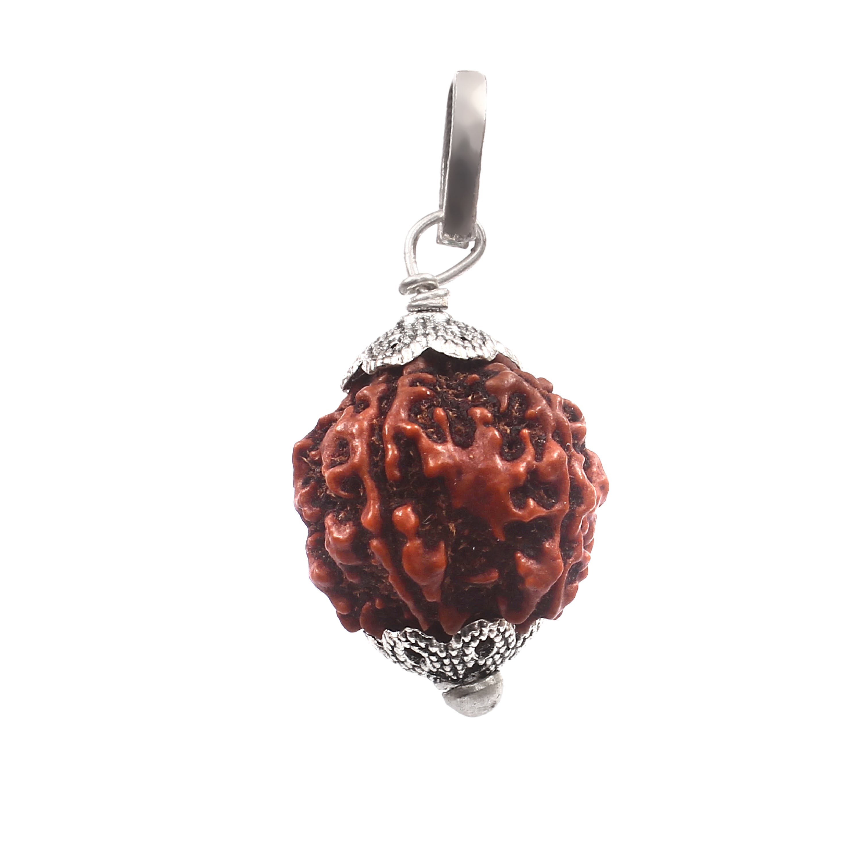 5 Mukhi Rudraksha Pendant