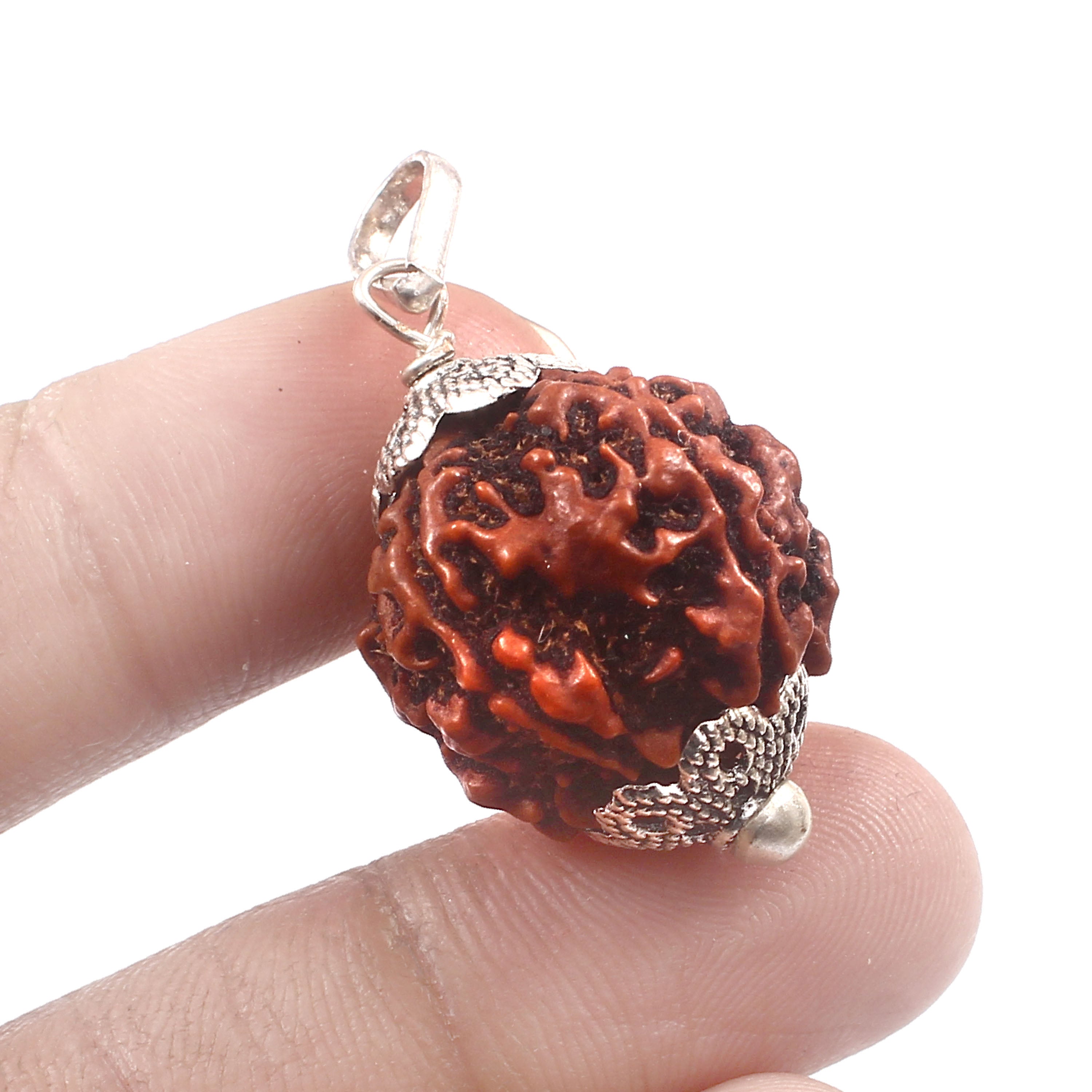 5 Mukhi Rudraksha Pendant