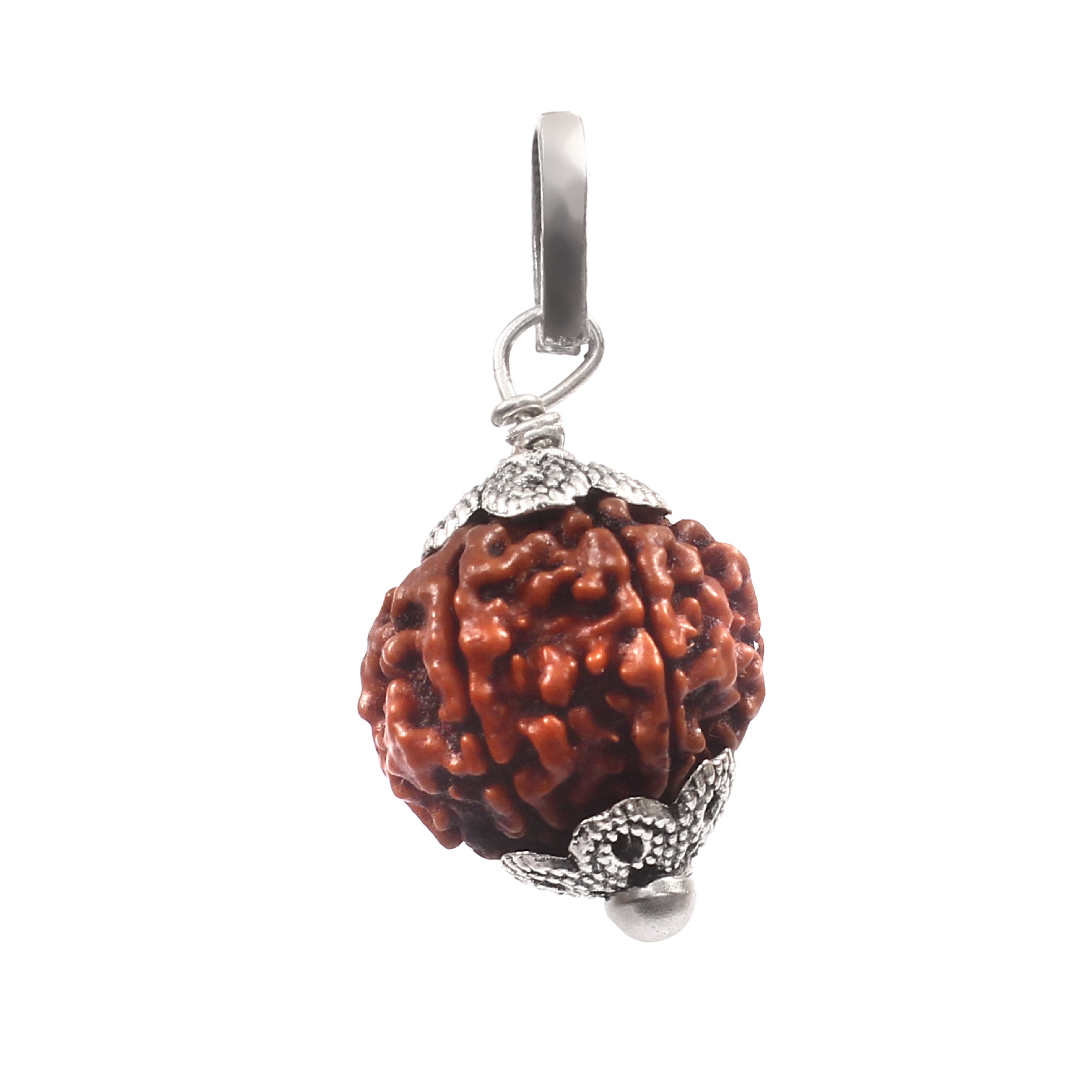 6 Mukhi Rudraksha Pendant