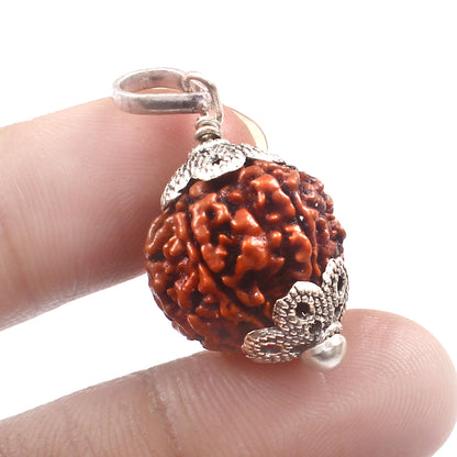 6 Mukhi Rudraksha Pendant