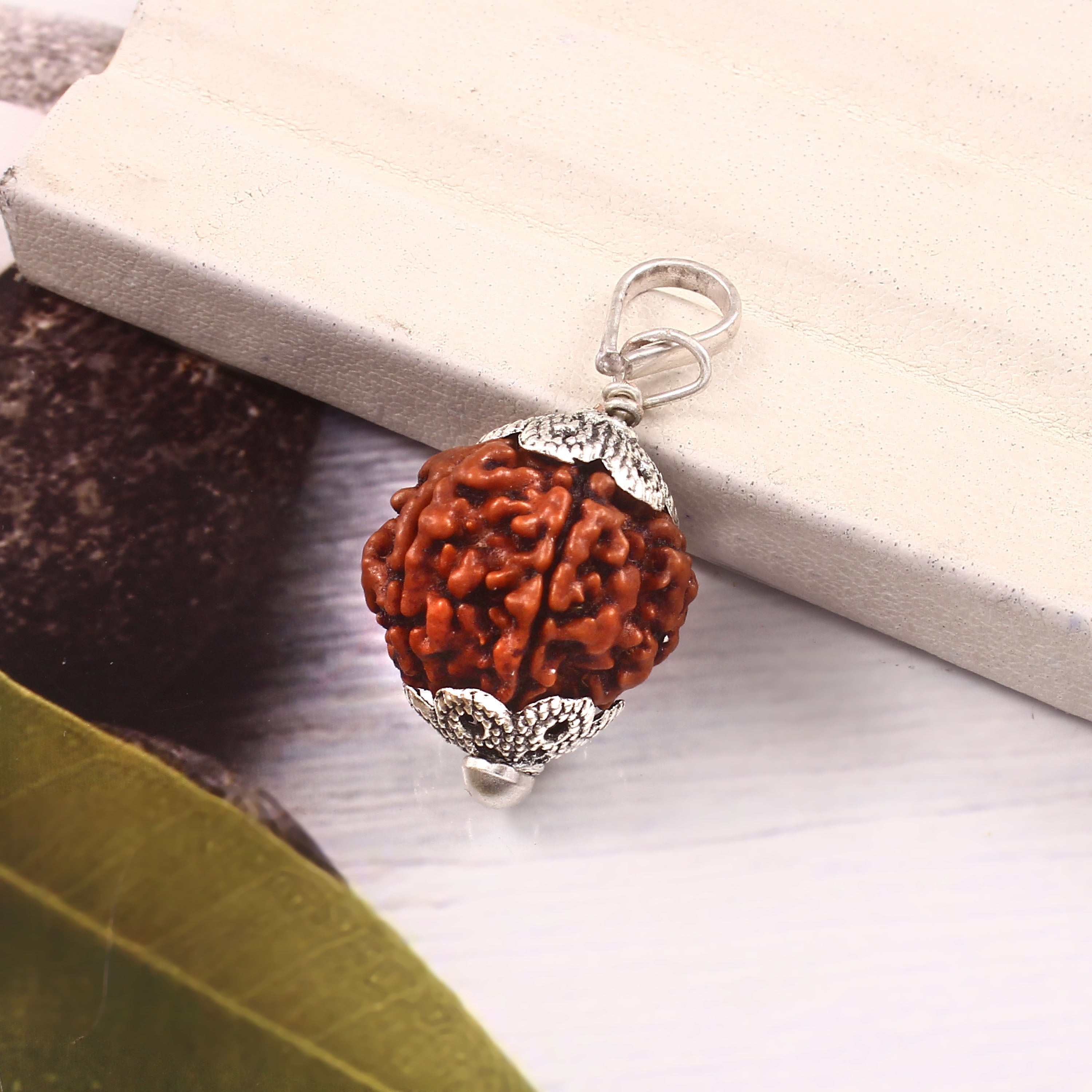 6 Mukhi Rudraksha Pendant