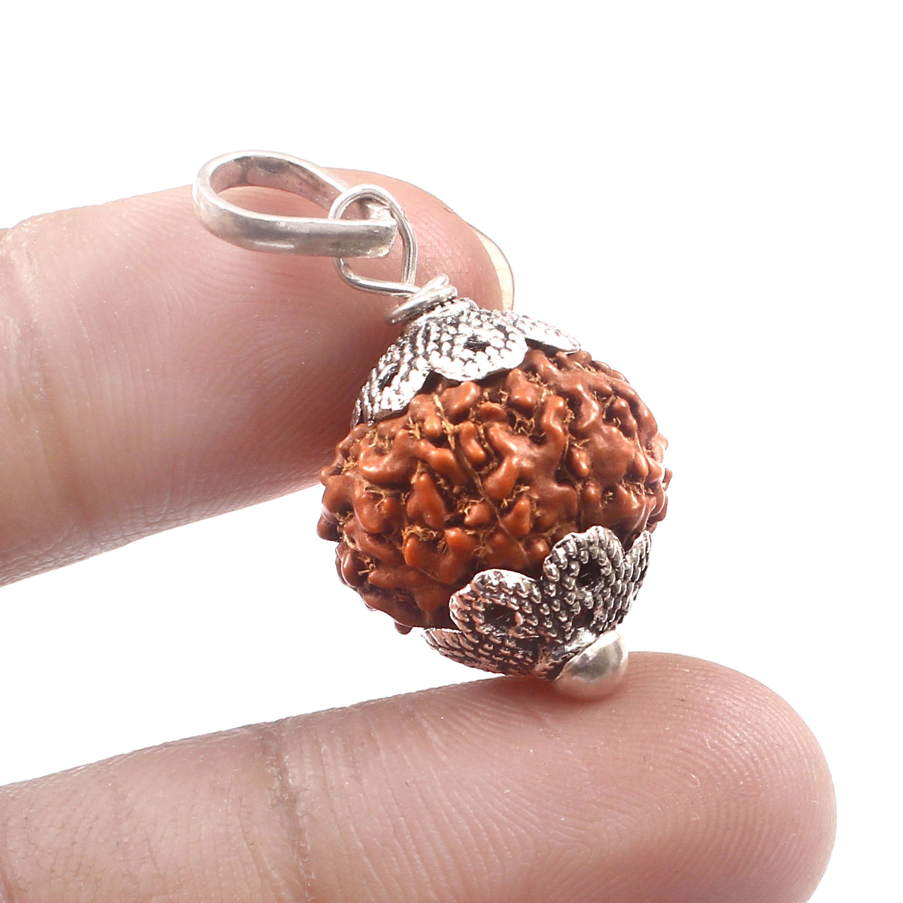 9 Mukhi Rudraksha