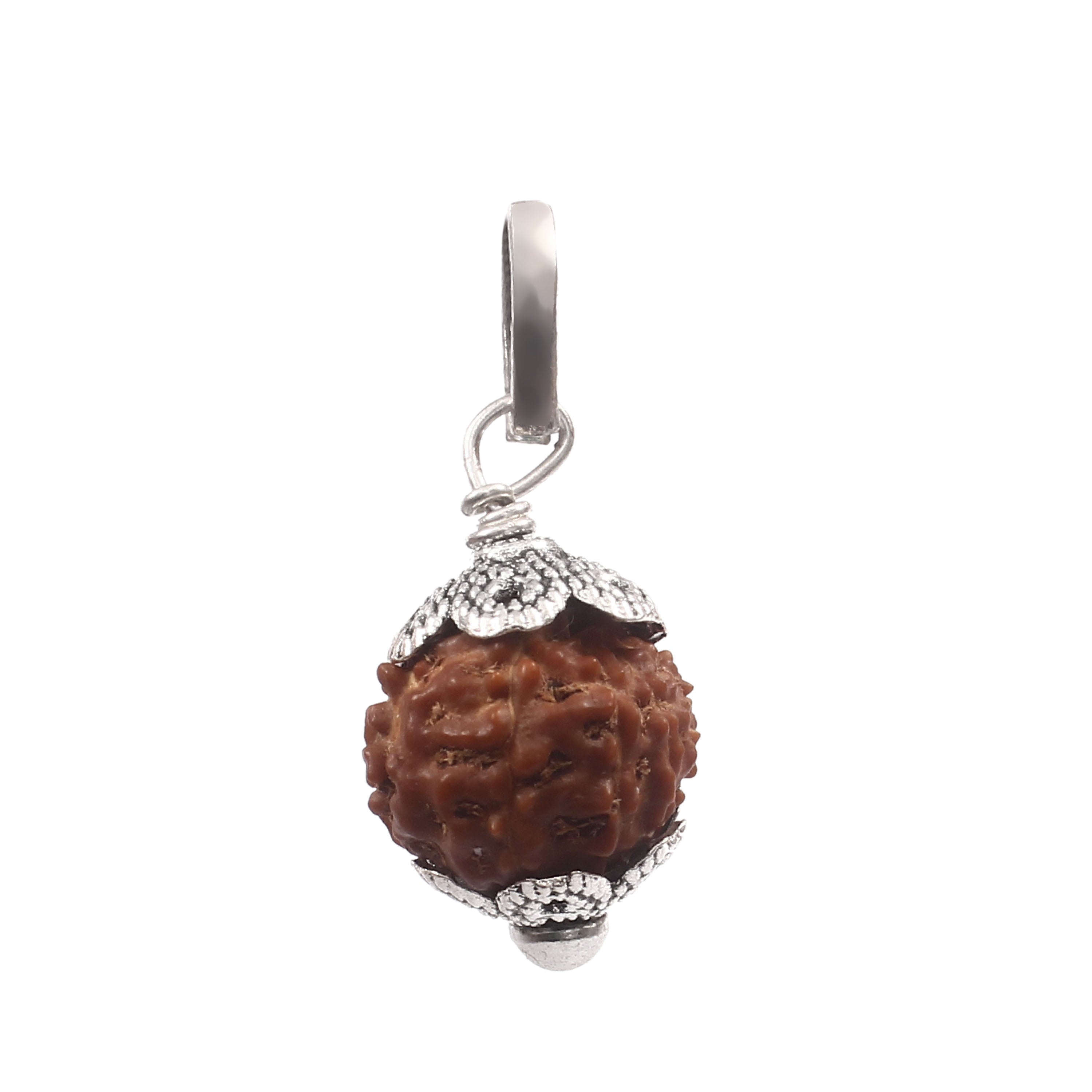 10 Mukhi Rudraksha