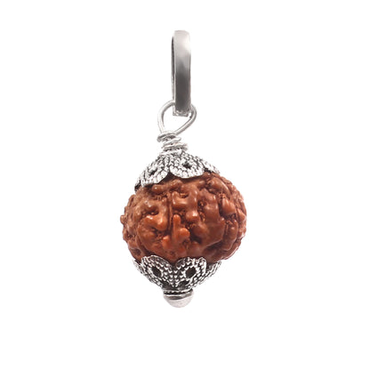 8 Mukhi Rudraksha