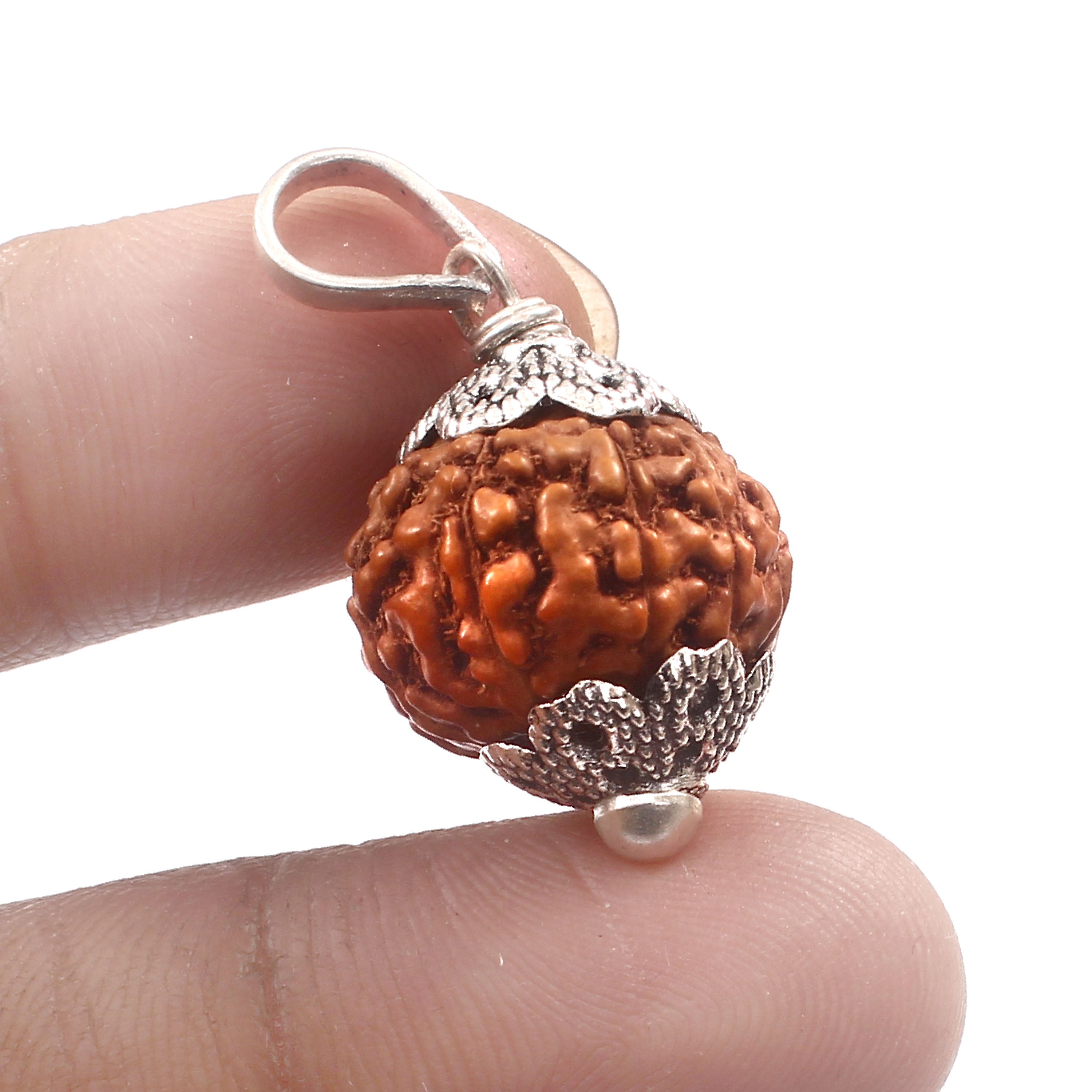 8 Mukhi Rudraksha Pendant