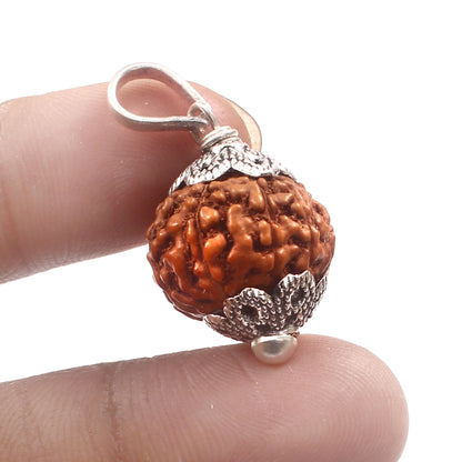 8 Mukhi Rudraksha