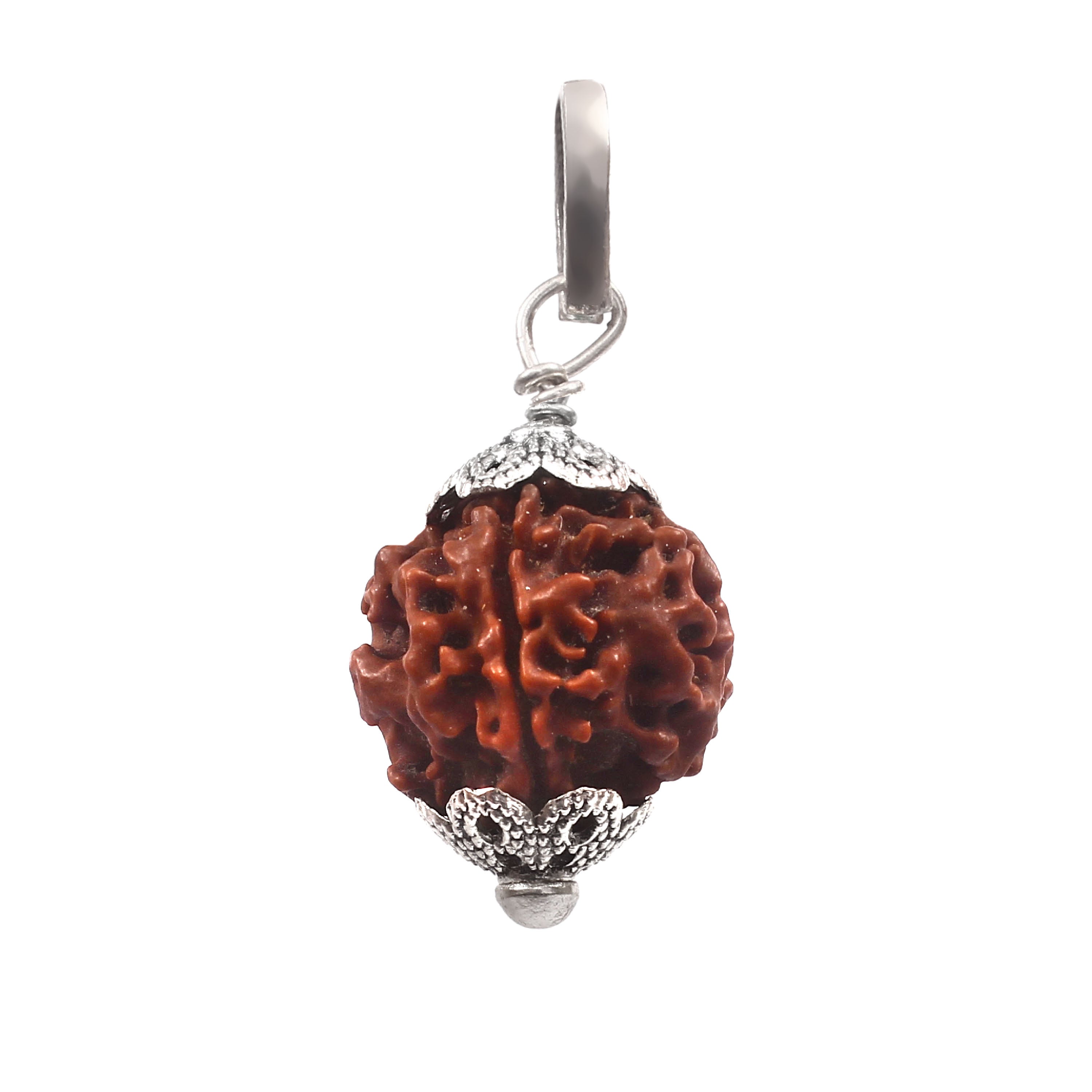 4 Mukhi Rudraksha Pendant