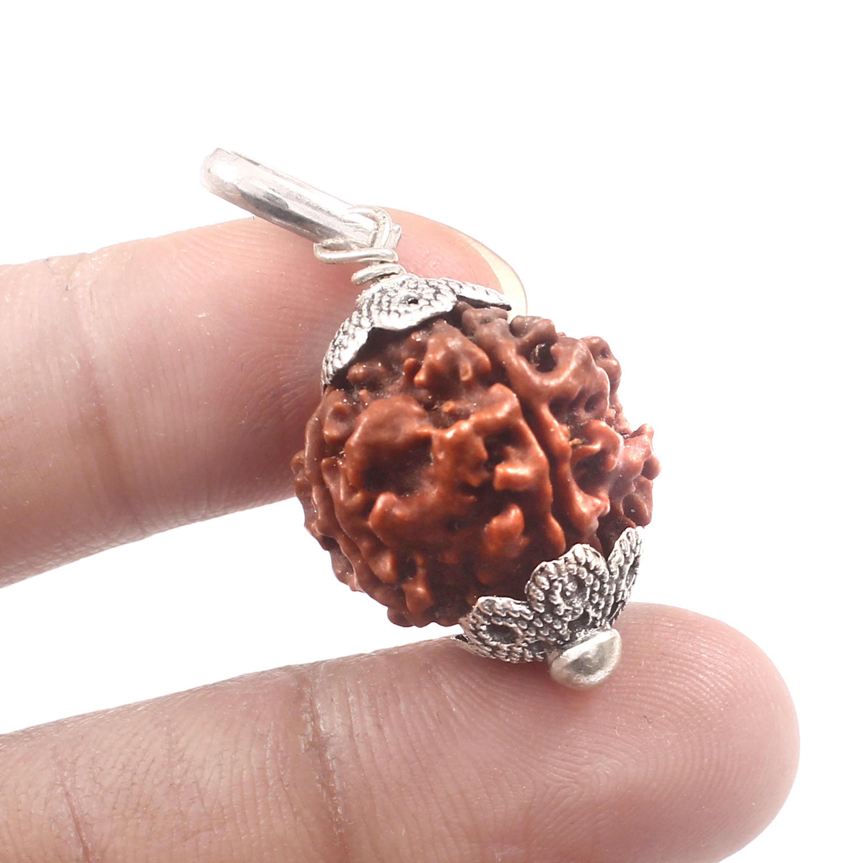 4 Mukhi Rudraksha Pendant