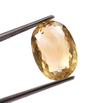 Citrine (7.9 Carat, 8.67 Ratti)