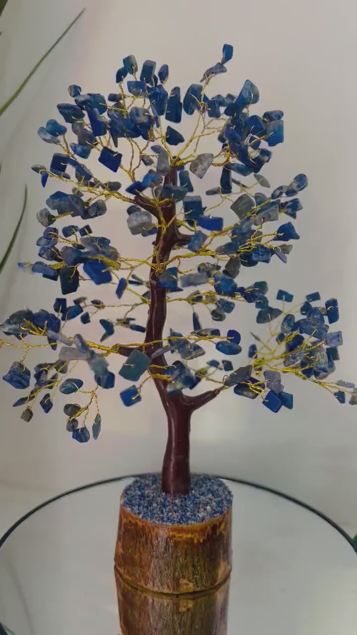 Lapis Lazuili Tree