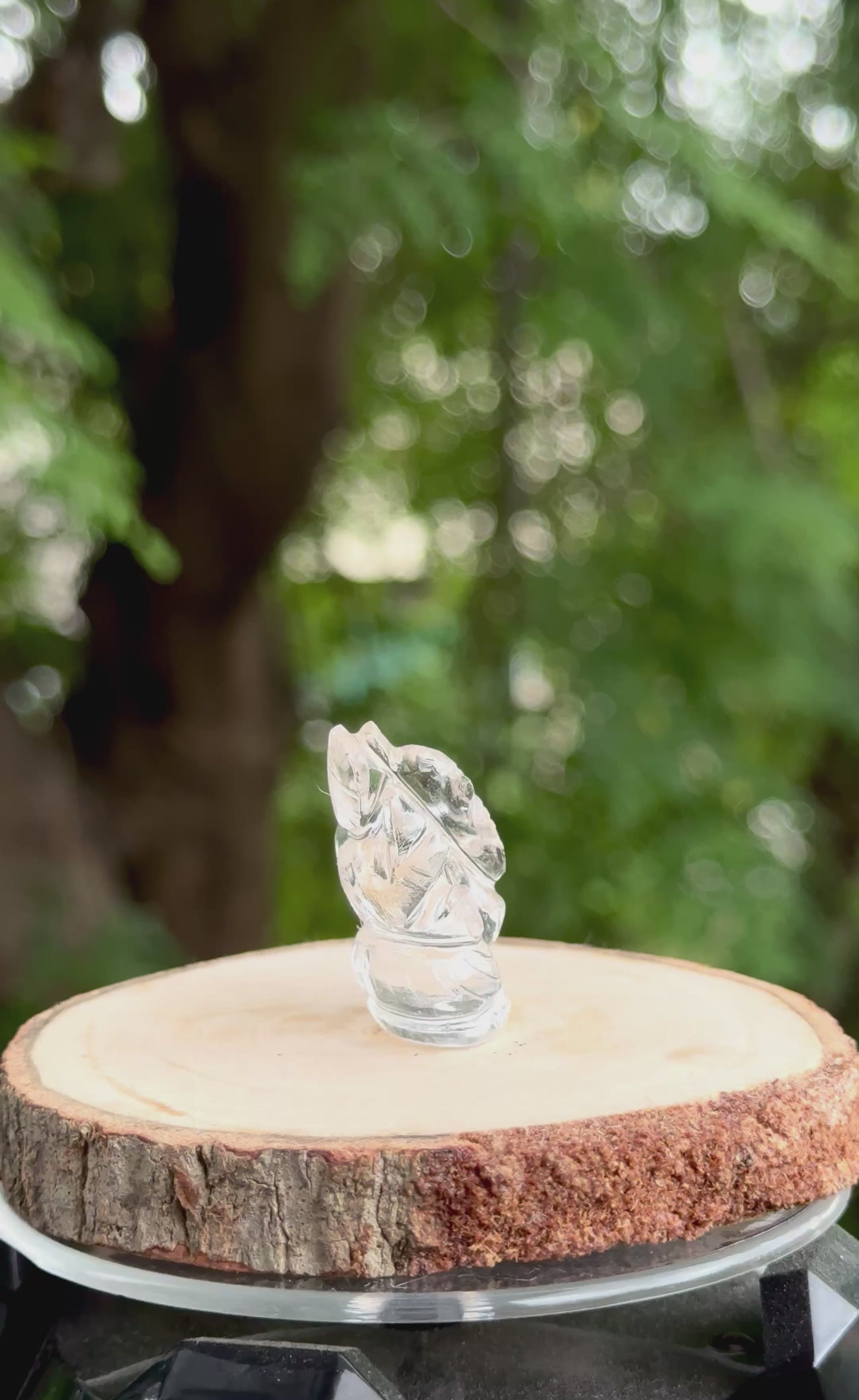 Clear Quartz Mini Ganesha